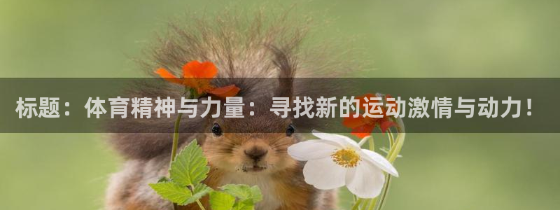 利记官方正版app神州:标题:体育精神与力量:寻找新的运动激