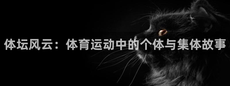 利记官方正版app官网:体坛风云:体育运动中的个体与集体故事